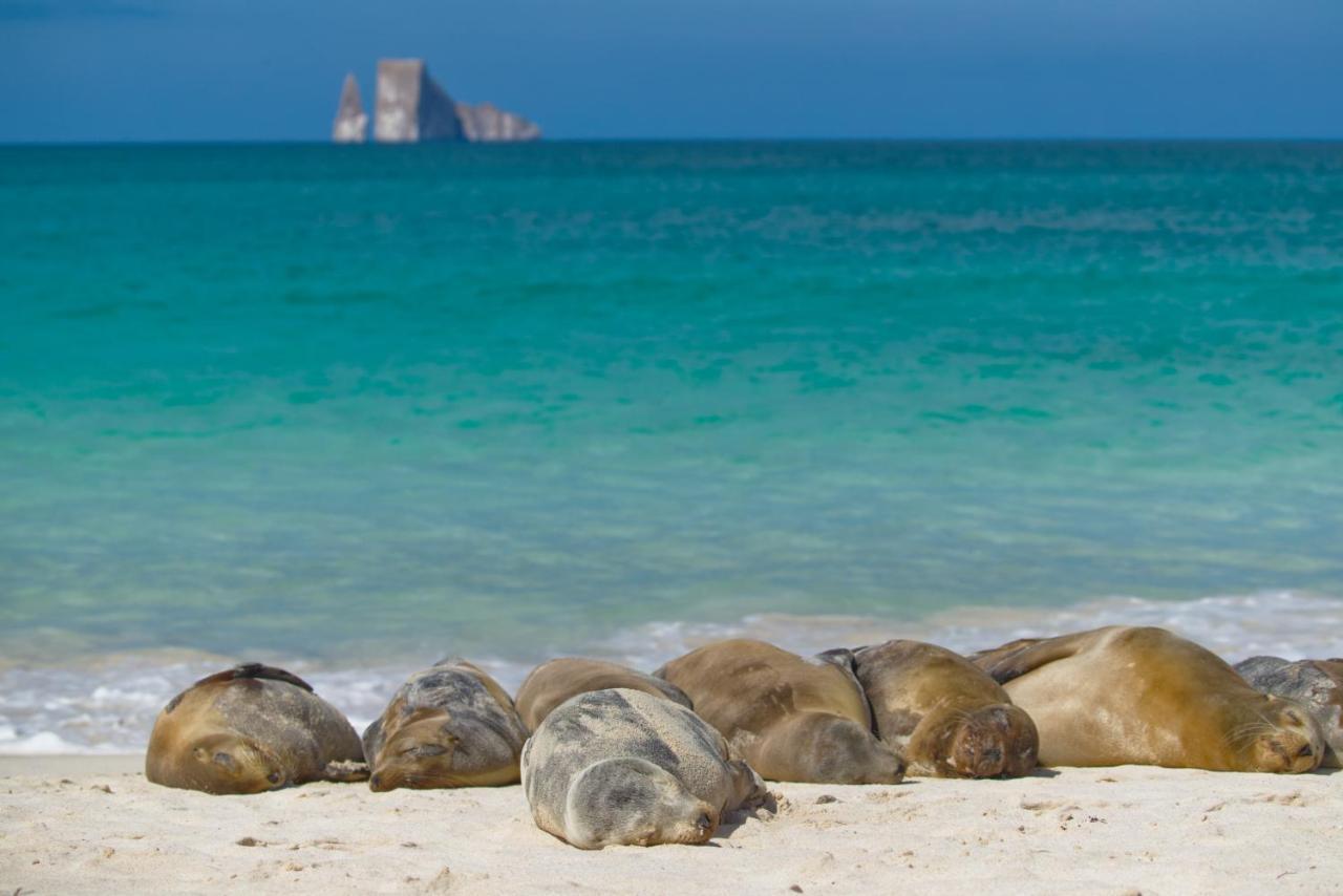Suite Cielo, Discover The Magic Of Galapagos Puerto Baquerizo Moreno Luaran gambar